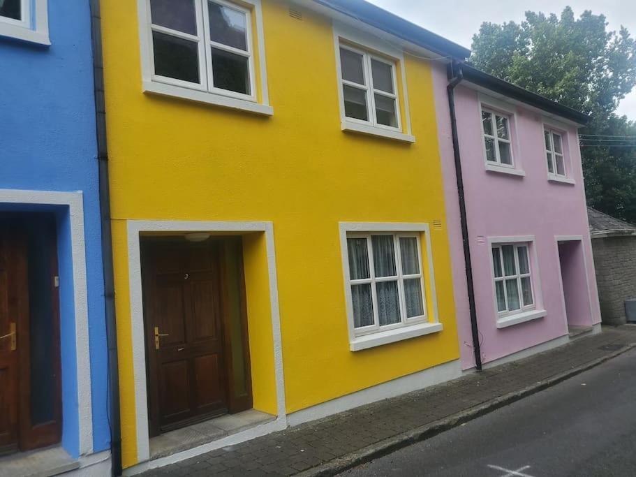 Villa Townhouse 3 Barrow Lane Bagenalstown Exterior foto